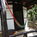 Image of Green Tulum