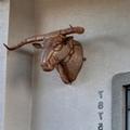 Image of GreenTree Inn of Prescott Valley