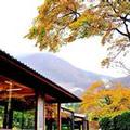 Image of Hakone Yunohana Prince Hotel