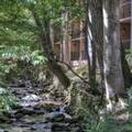 Image of Hampton Inn Gatlinburg
