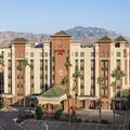 Image of Hampton Inn Tropicana