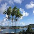 Image of Harbor Vista Inn