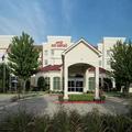Image of Hilton Garden Inn Dfw North Grapevine
