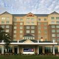 Image of Hilton Garden Inn Houston/Galleria Area