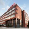 Image of Hilton Garden Inn Malaga