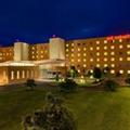 Image of Hilton Garden Inn Rome Airport
