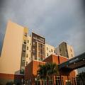 Exterior of Hilton Garden Inn Tampa Suncoast Parkway