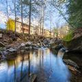 Photo of Holiday Inn Club Vacations Oak N Spruce Resort