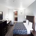 Image of Holiday Inn Express Hotel & Suites New Tampa