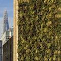 Image of Holiday Inn Express London - Southwark by IHG