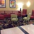 Photo of Holiday Inn Express & Suites Forest by IHG