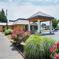 Image of Holiday Inn Express & Suites Port Aransas/Beach Area by IHG