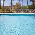 Image of Holiday Inn Express & Suites West Palm Beach Metrocentre by IHG