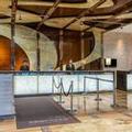 Photo of Holiday Inn Nantong Oasis Centre by IHG