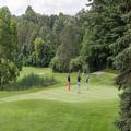 Image of Horseshoe Resort