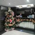 Image of Hotel 2 Mares