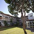 Exterior of Hotel Campomar Playa