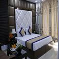 Photo of Hotel Delhi Pride