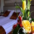 Photo of Hotel Lav