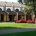 Image of Hotel Pineta