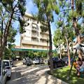 Image of Hotel Pineta