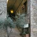 Image of Hotel Properzio