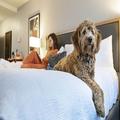 Photo of Hotel Saint Clair Magnificent Mile