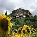 Image of Hotel Sangallo