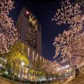 Image of Imperial Hotel Osaka