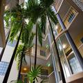 Photo of Inn Cairns Boutique Apartments