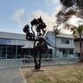 Exterior of JetPark Hotel Hamilton Airport
