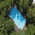 Image of Jungle Addition