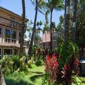 Image of Kohea Kai Hotel Maui