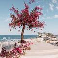 Image of Las Ventanas al Paraiso, A Rosewood Resort