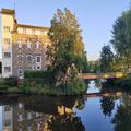 Image of Le Germinal