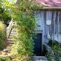Exterior of Lily Garden Bed and Breakfast