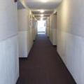 Photo of Loyalty Inn Pasco