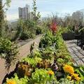 Photo of Mandarin Oriental, Santiago