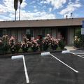 Photo of Maple Inn & Suites