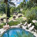 Photo of Mason Elephant Lodge