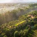Photo of Maya Ubud Resort and Spa