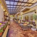 Photo of Mayfair Darjeeling