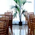 Image of Meditur Hotel Pomezia