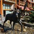Exterior of Moose Hotel And Suites