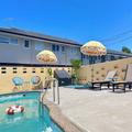 Image of Mount Eden Motel