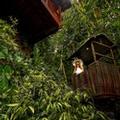 Photo of Nandini Jungle by Hanging Gardens
