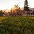 Exterior of Napa Valley Lodge