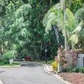 Photo of Oasis at Palm Cove