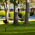 Photo of Ocean Park Inn