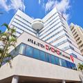 Image of Okinawa Nahana Hotel & Spa